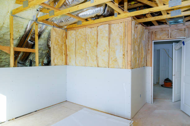 Best Spray Foam Insulation in Chisholm, MN