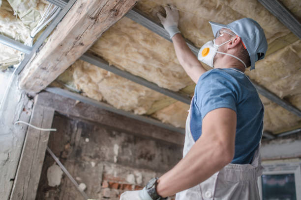 Best Cellulose Insulation in Chisholm, MN